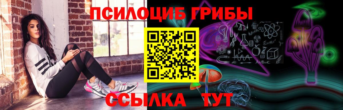 Псилоцибиновые грибы GOLDEN TEACHER  Псилоцибиновые грибы MAGIC MUSHROOMS  Златоуст  Вход с VPN 